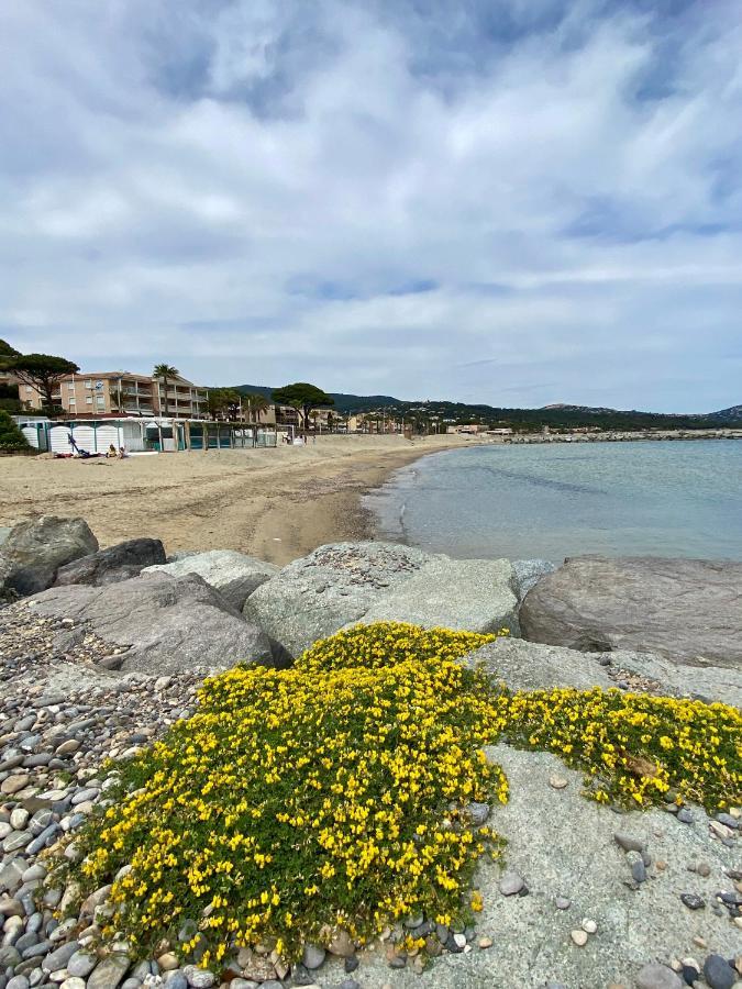 קבלייר-סור-מר Studio 150 M De Plage Golfe De Saint-Tropez מראה חיצוני תמונה